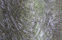 Moxley fibreglass roof work